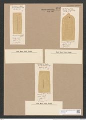 Surirella ceylanensis Lend.-Fortm. (de-Toni-Nr.: Genus 53, Species 2277) Zeichnungen Sammlung Grunow Nr. 4732 (NHMW-BOT-W0372832)
